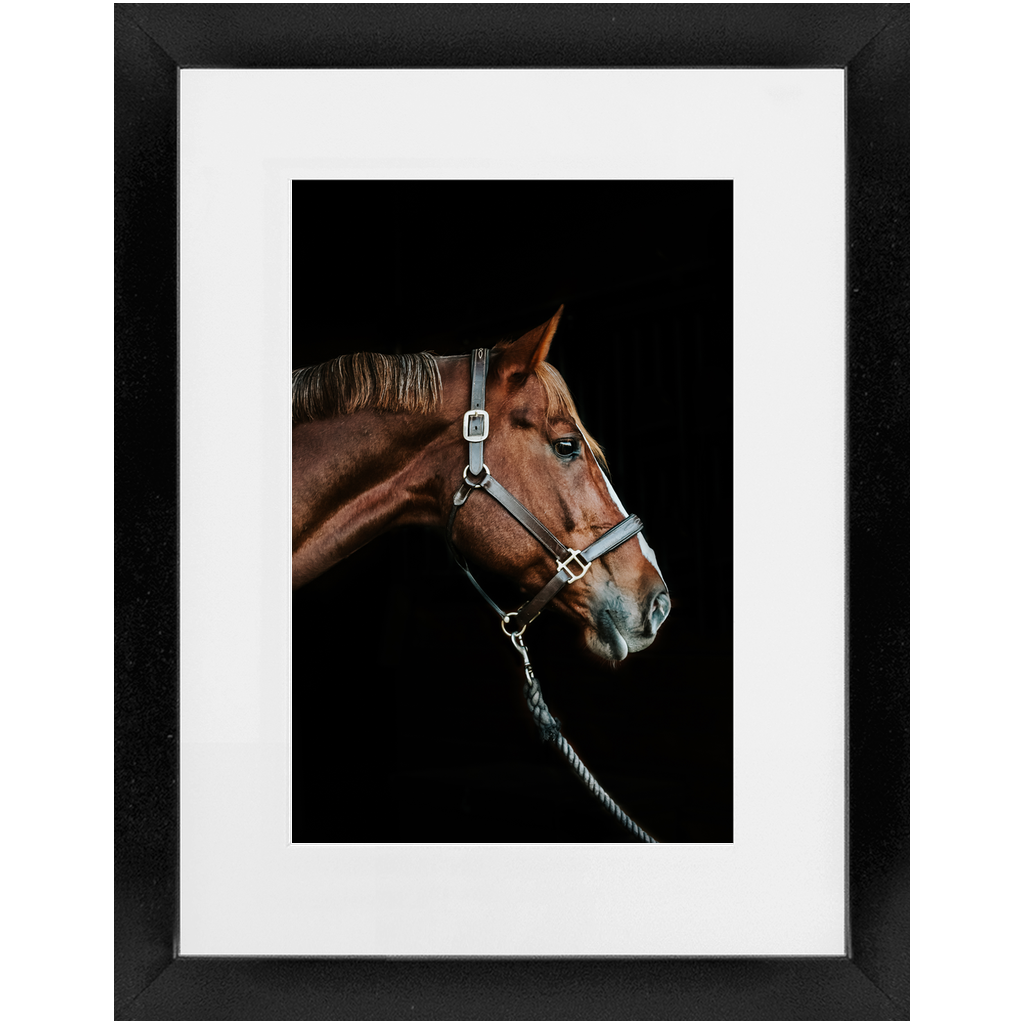 Django Series 3, Framed Print