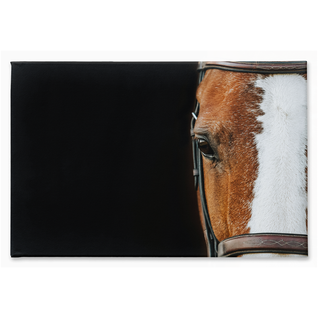 Huntsman Series 5, Stretched Canvas