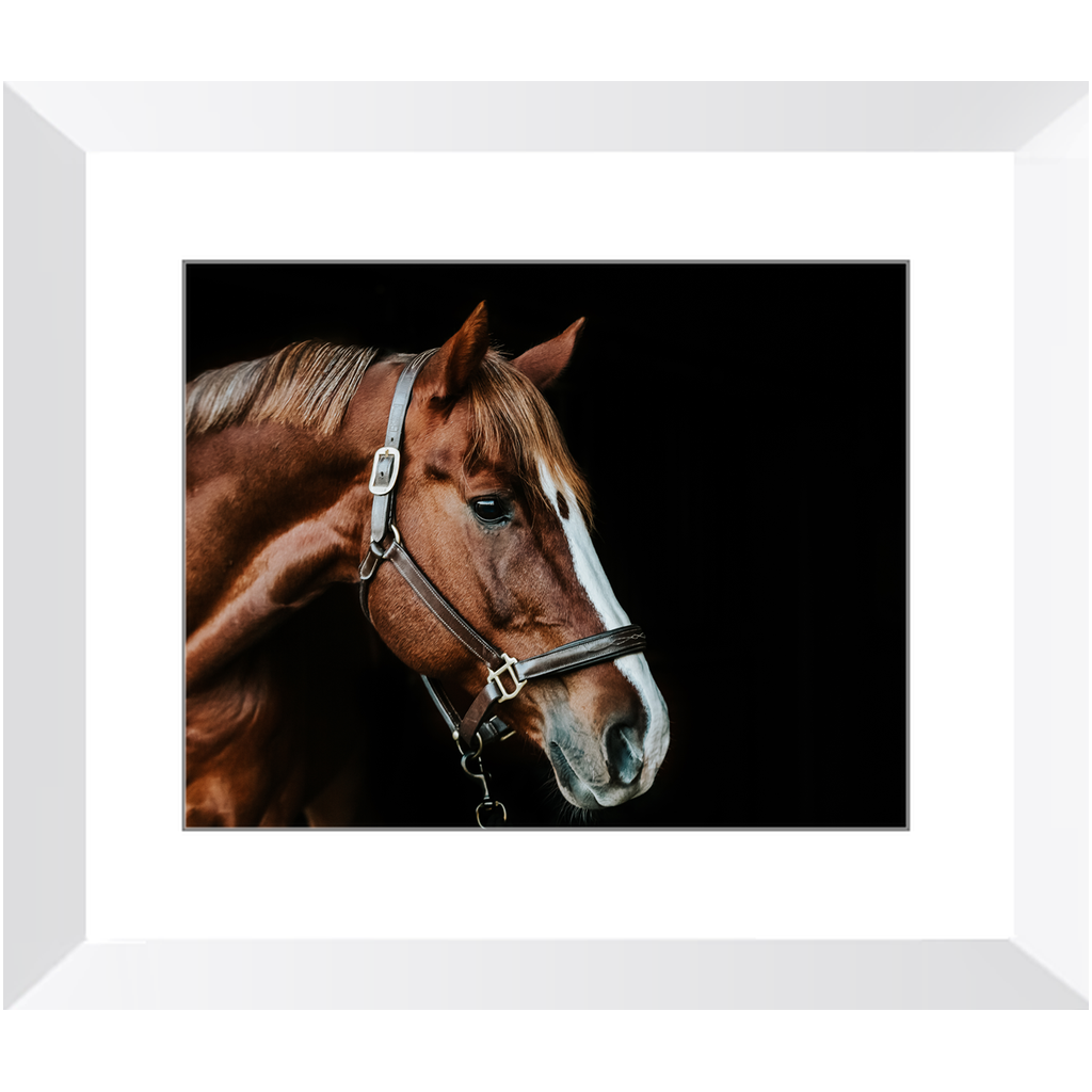 Django Series 5, Framed Print