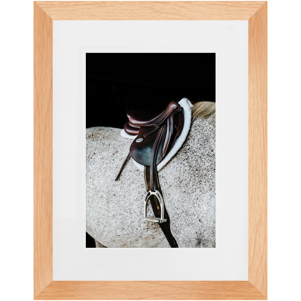 Apollo Series 3, Framed Print
