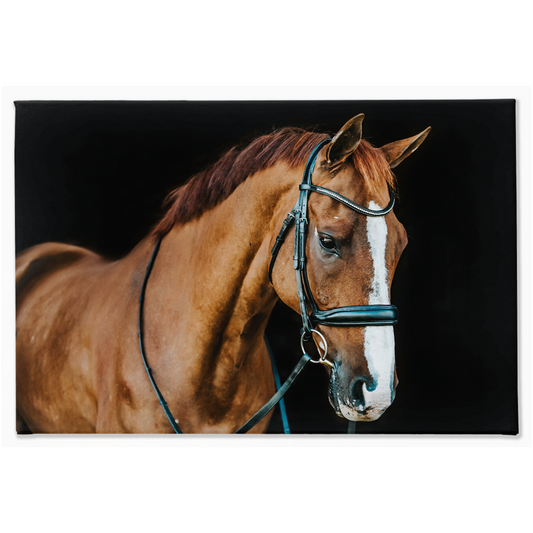 Hudson Series 1, Stretched Canvas