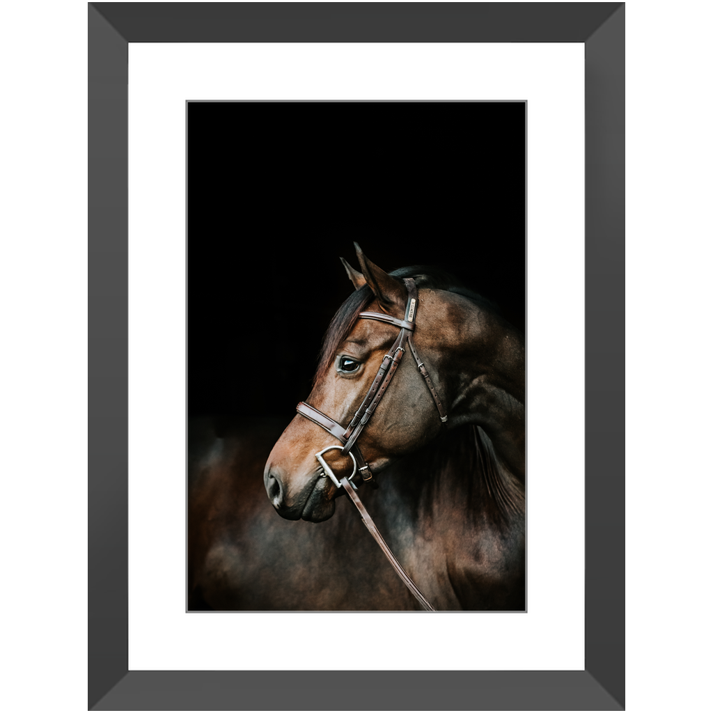 Jovial Series 3, Framed Print