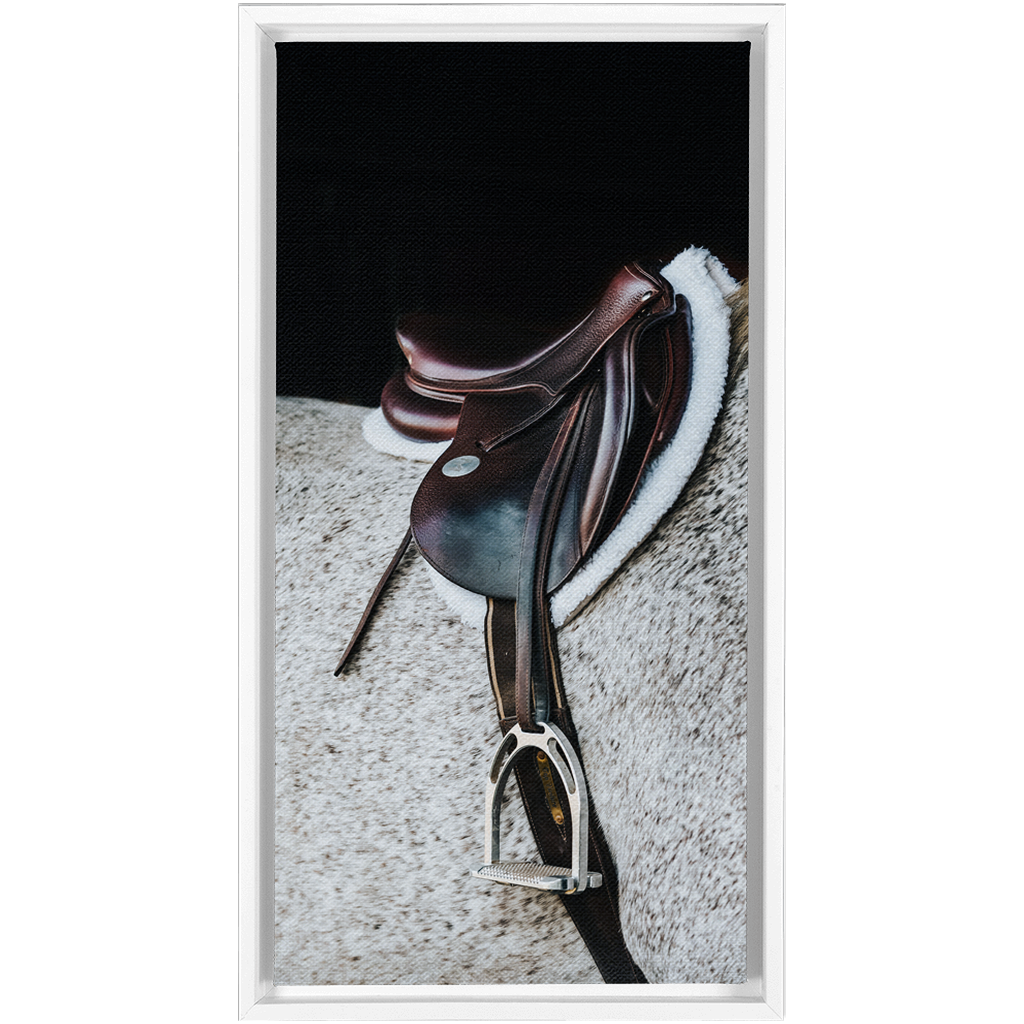 Apollo Series 3, Framed Canvas