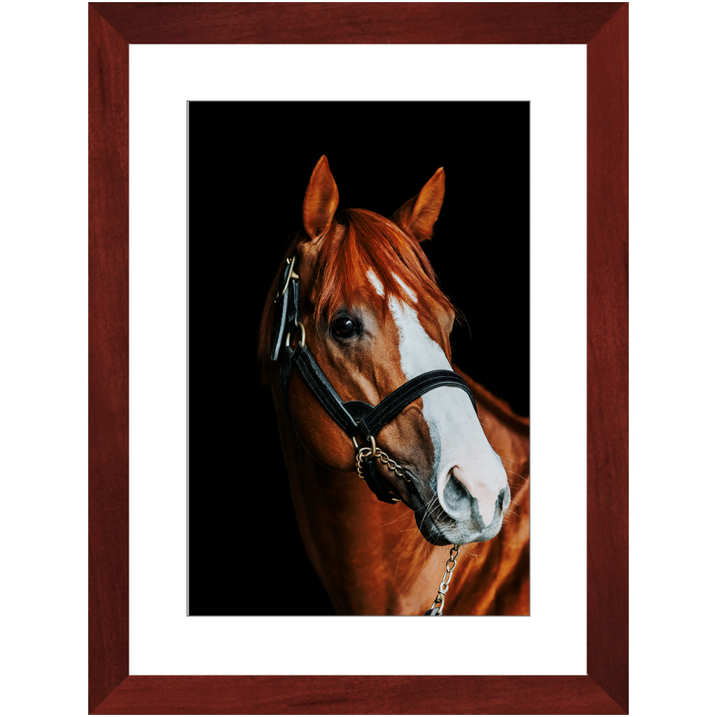 Justify Series 2, Framed Print