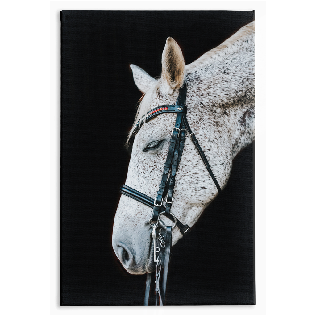 Apollos Series 2, Stretched Canvas