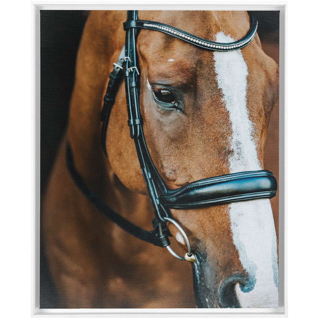 Hudson Series 3, Framed Canvas