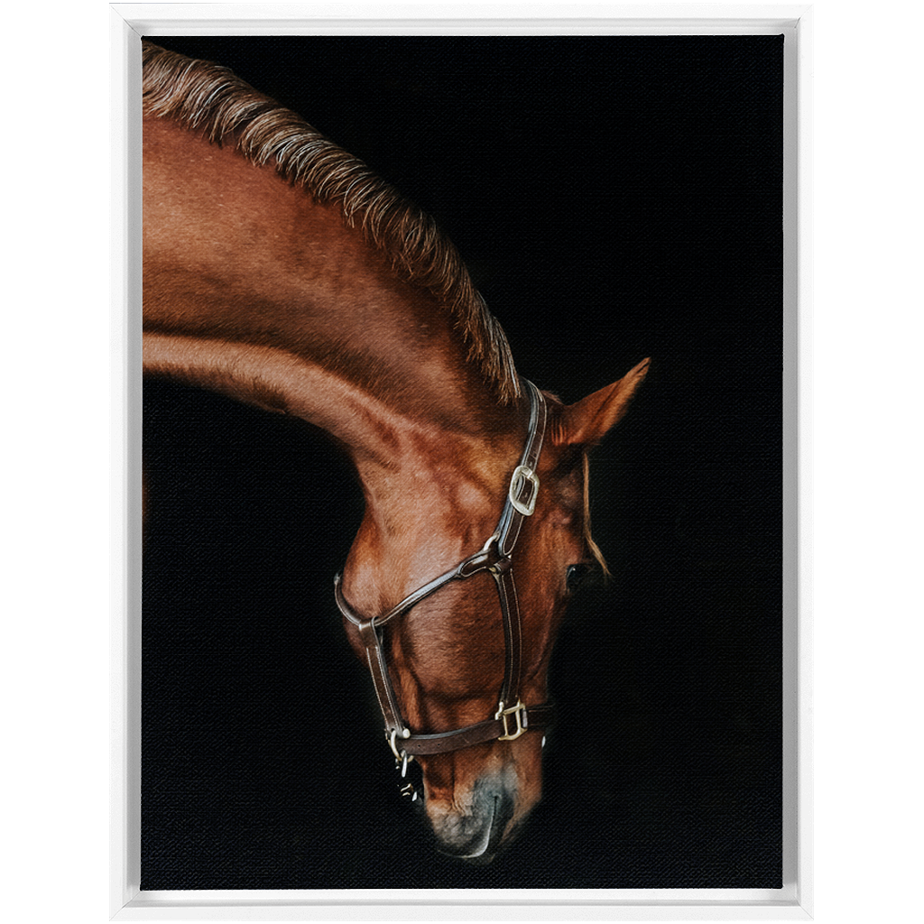 Django Series 6, Framed Canvas