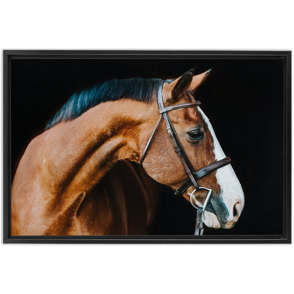 Huntsman Series 3, Framed Canvas