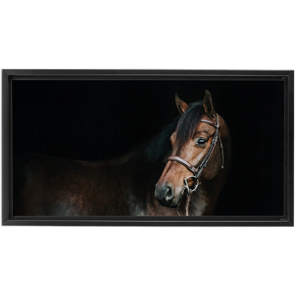 Jovial Series 2, Framed Canvas