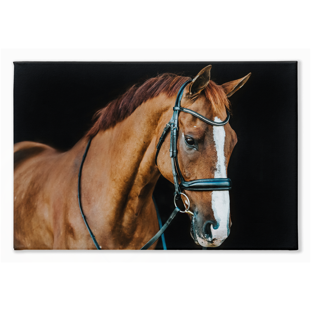 Hudson Series 1, Stretched Canvas