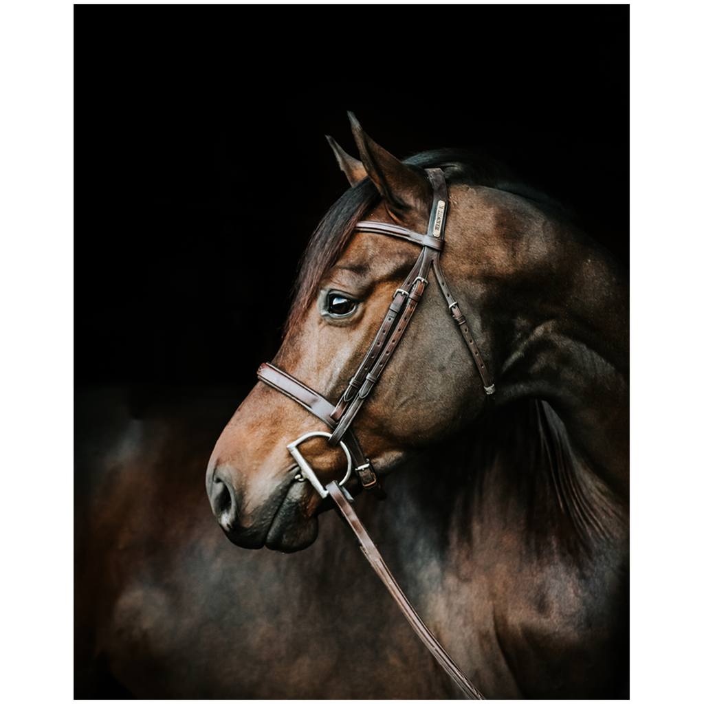 Jovial Series 3, Print