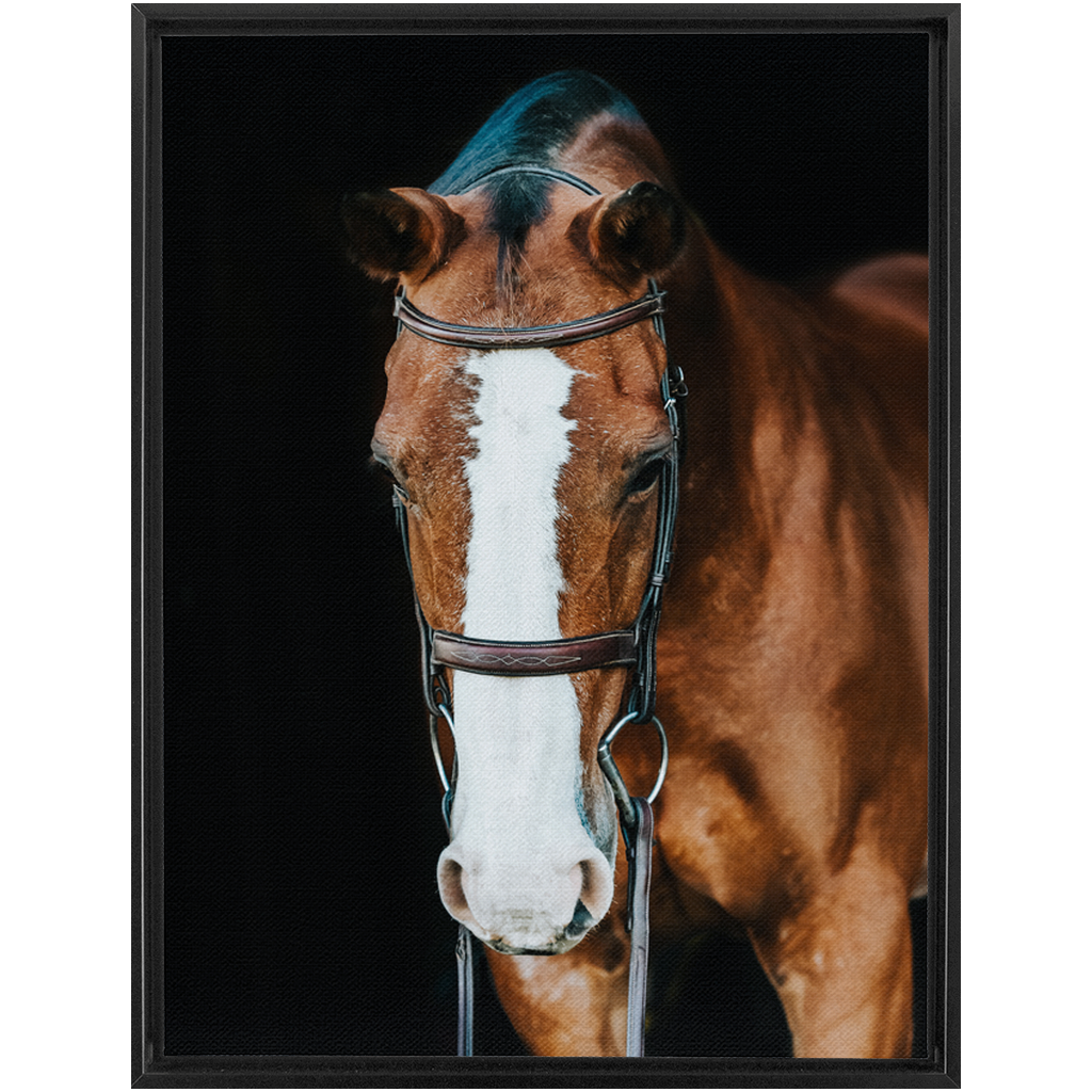 Huntsman Series 6, Framed Canvas