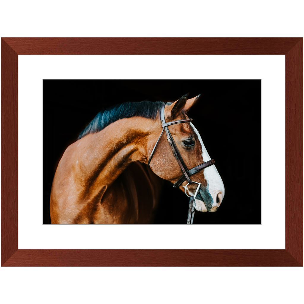 Huntsman Series 3, Framed Print