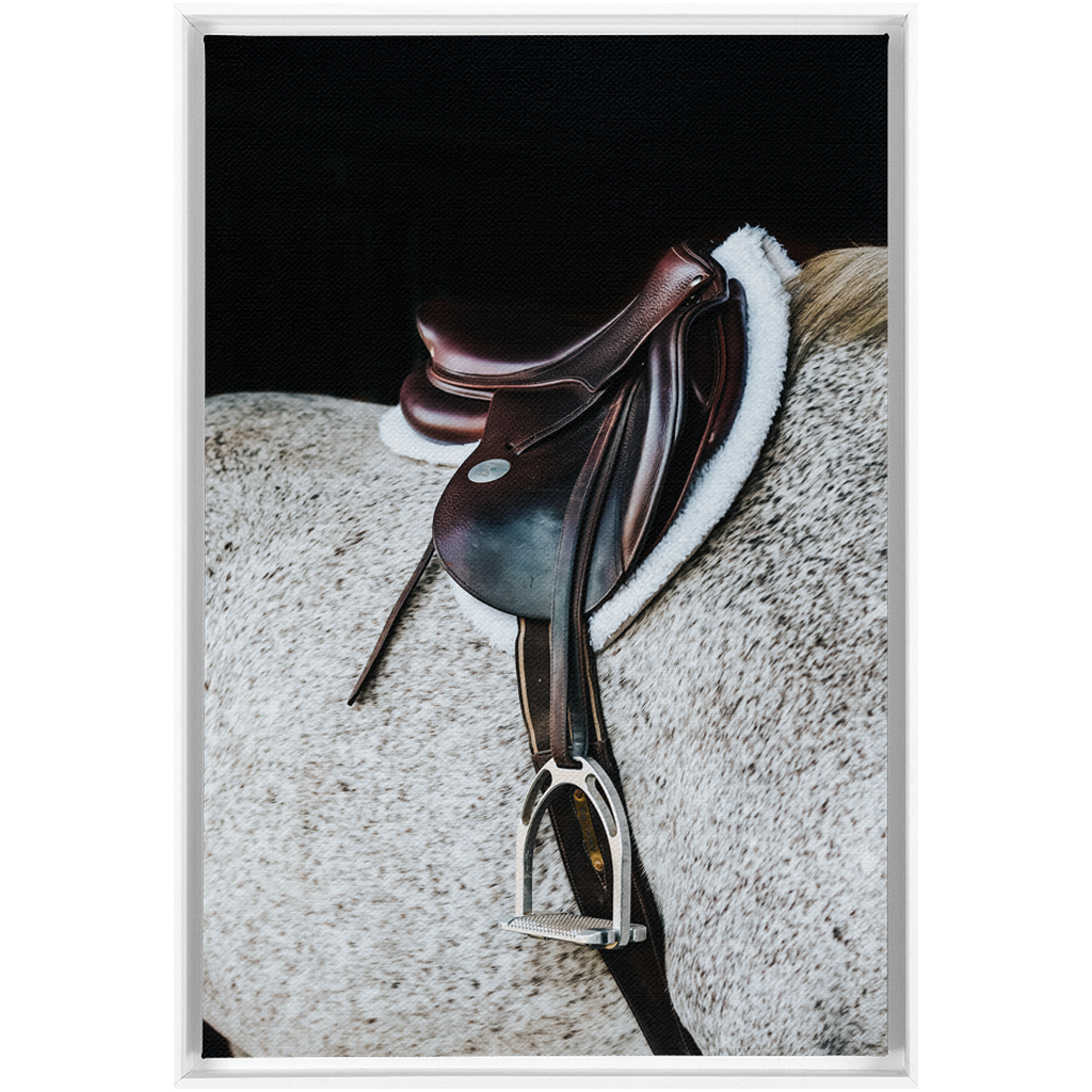 Apollo Series 3, Framed Canvas