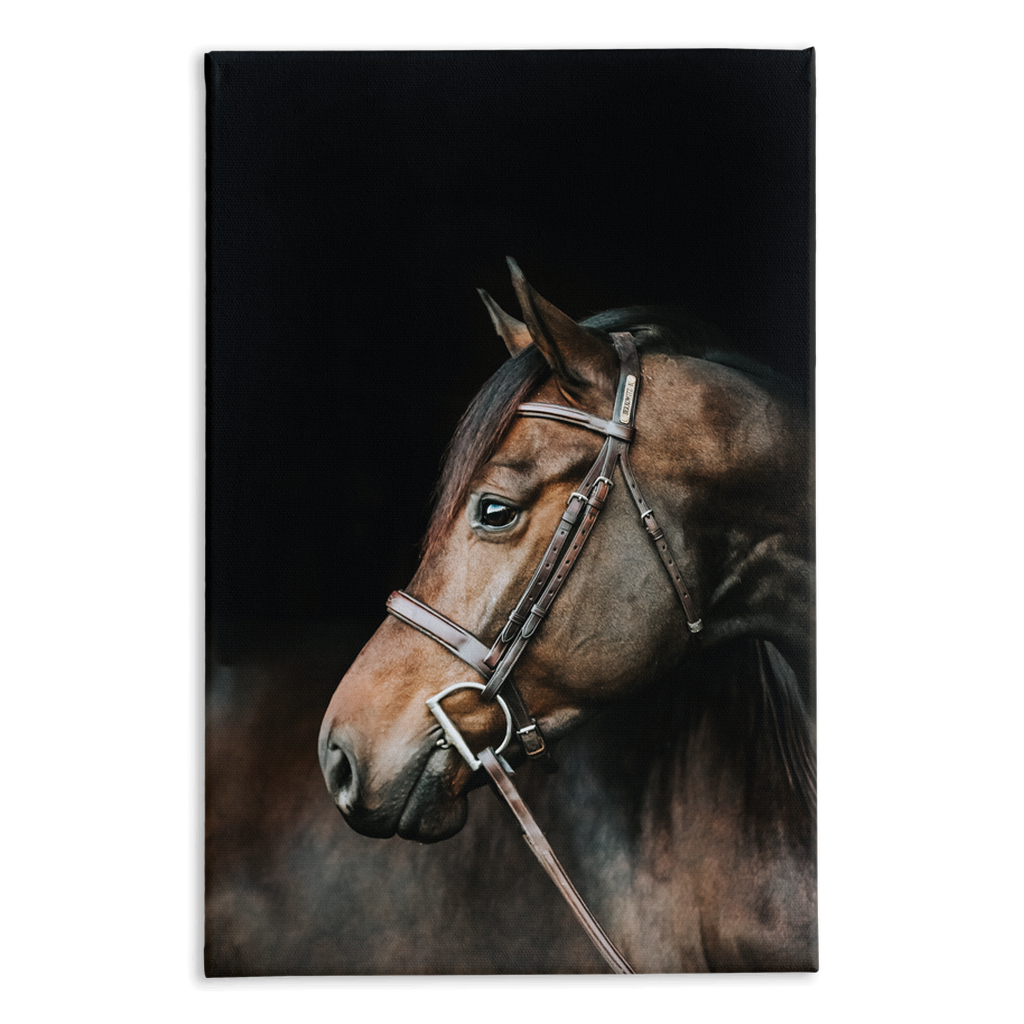 Jovial Series 3, Stretched Canvas