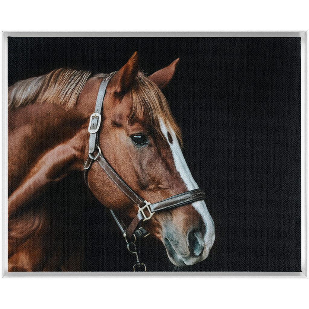 Django Series 5, Framed Canvas