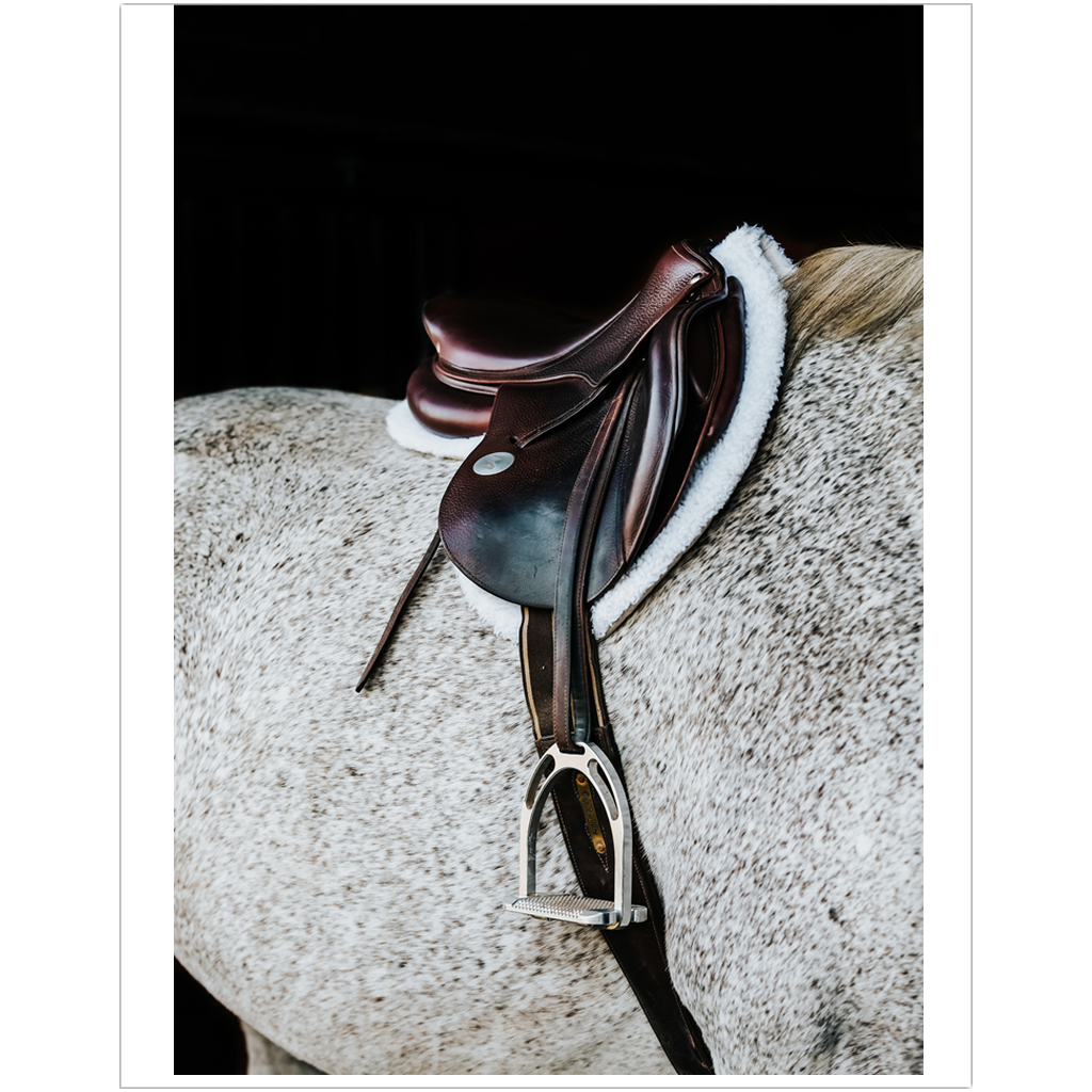 Apollo Series 3, Print