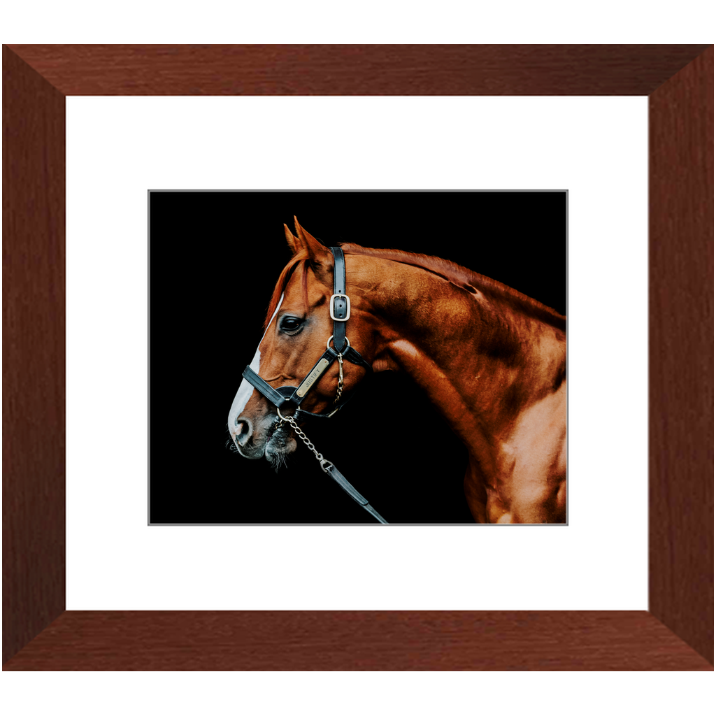 Justify Series 3, Framed Print