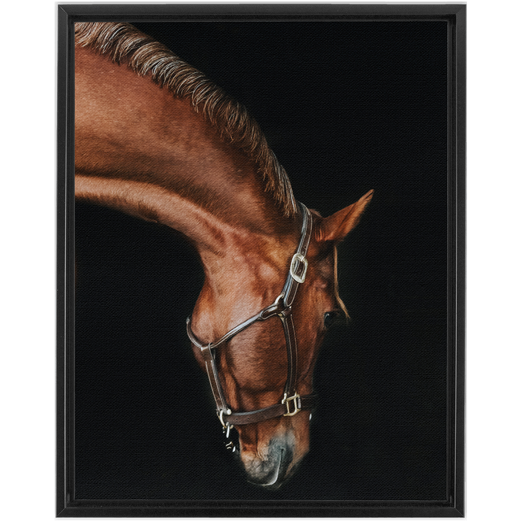 Django Series 6, Framed Canvas