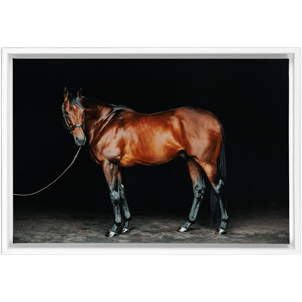 American Pharoah Series 1, Framed Canvas