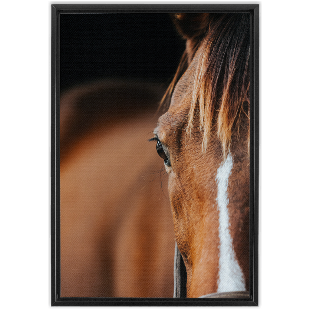 Majestic 1, Framed Canvas