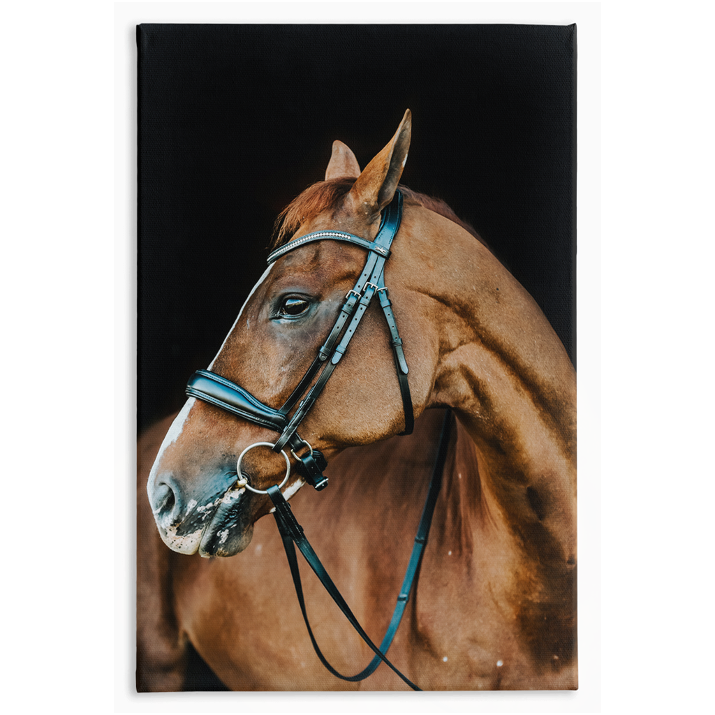 Hudson Series 6, Stretched Canvas
