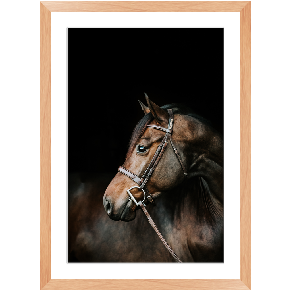 Jovial Series 3, Framed Print