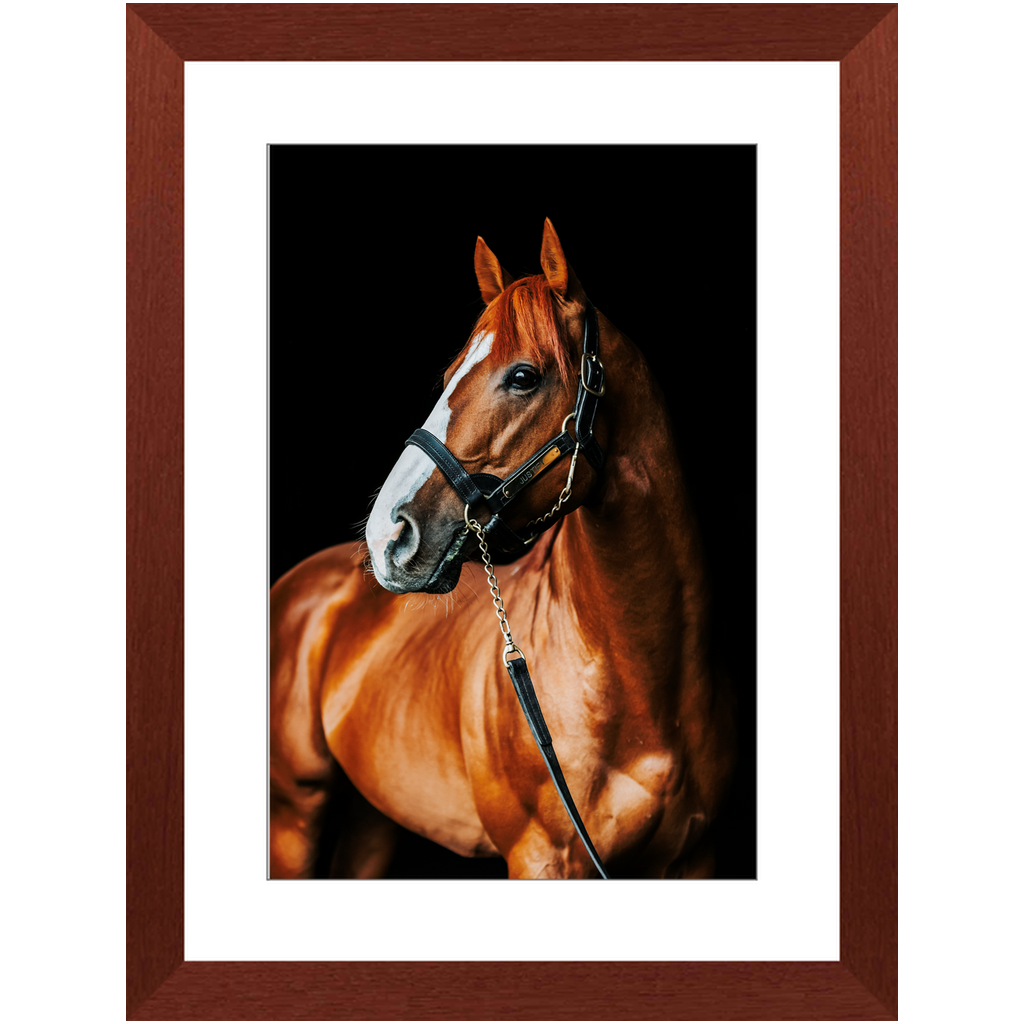 Justify Series 1, Framed Print