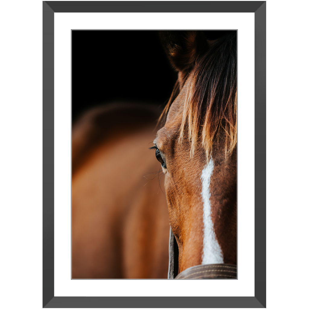 Majestic Series 1, Framed Print