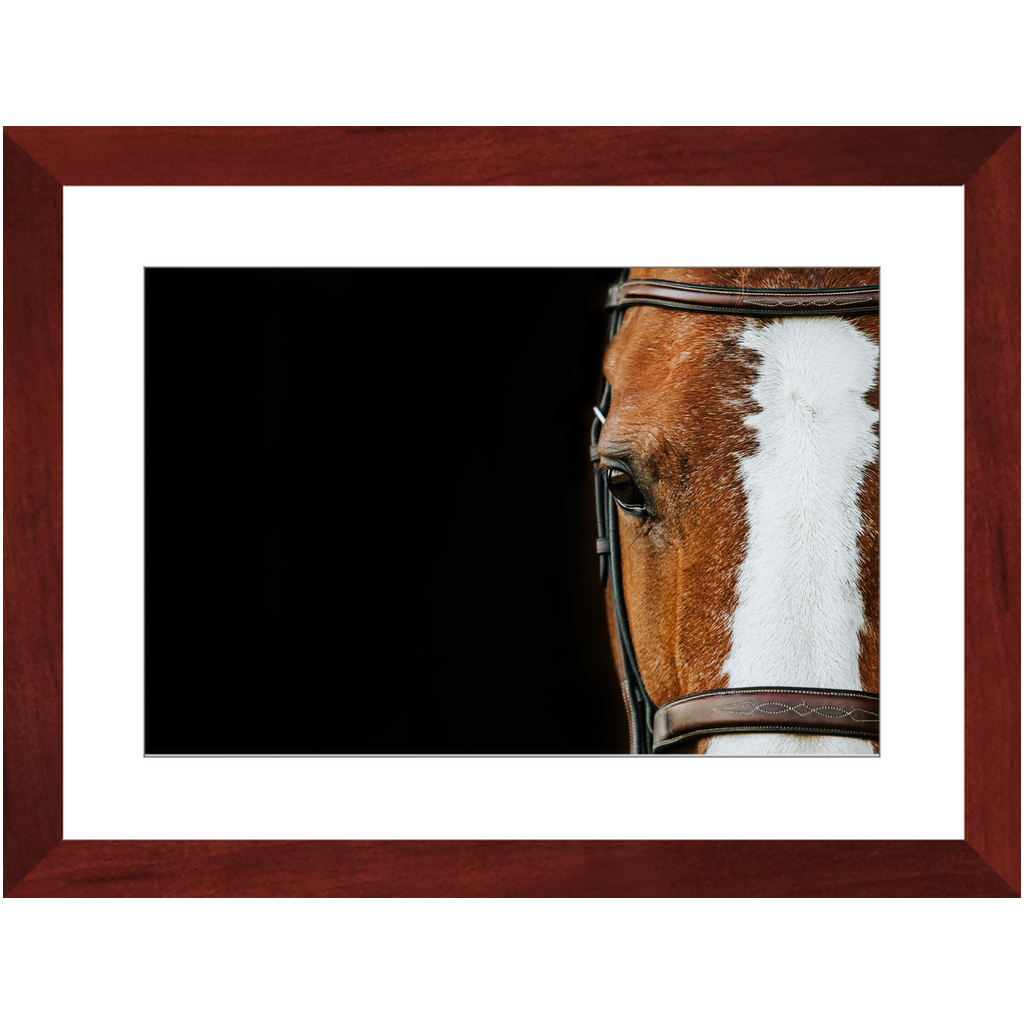Huntsman Series 5, Framed Print