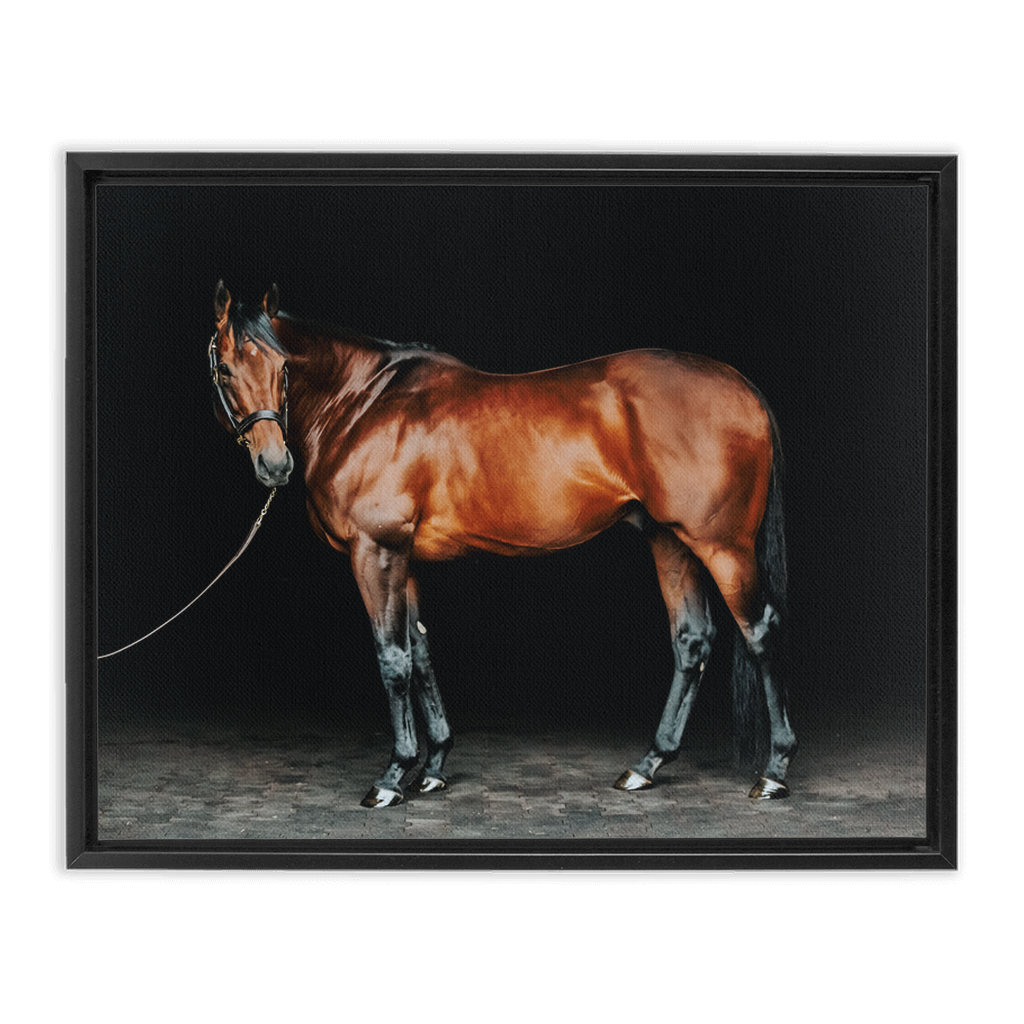 American Pharoah Series 1, Framed Canvas
