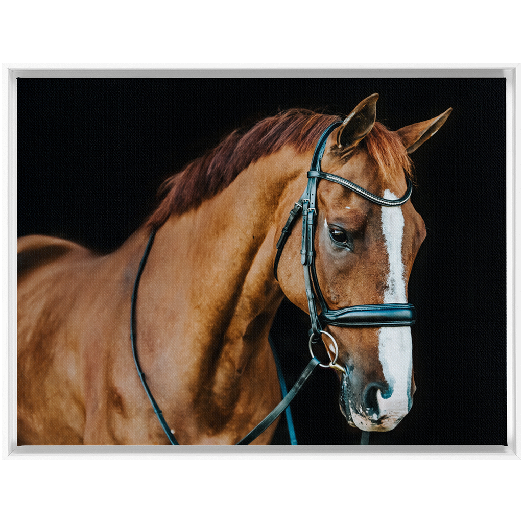 Hudson Series 1, Framed Canvas