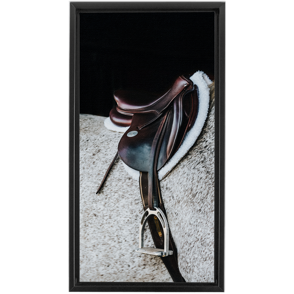 Apollo Series 3, Framed Canvas