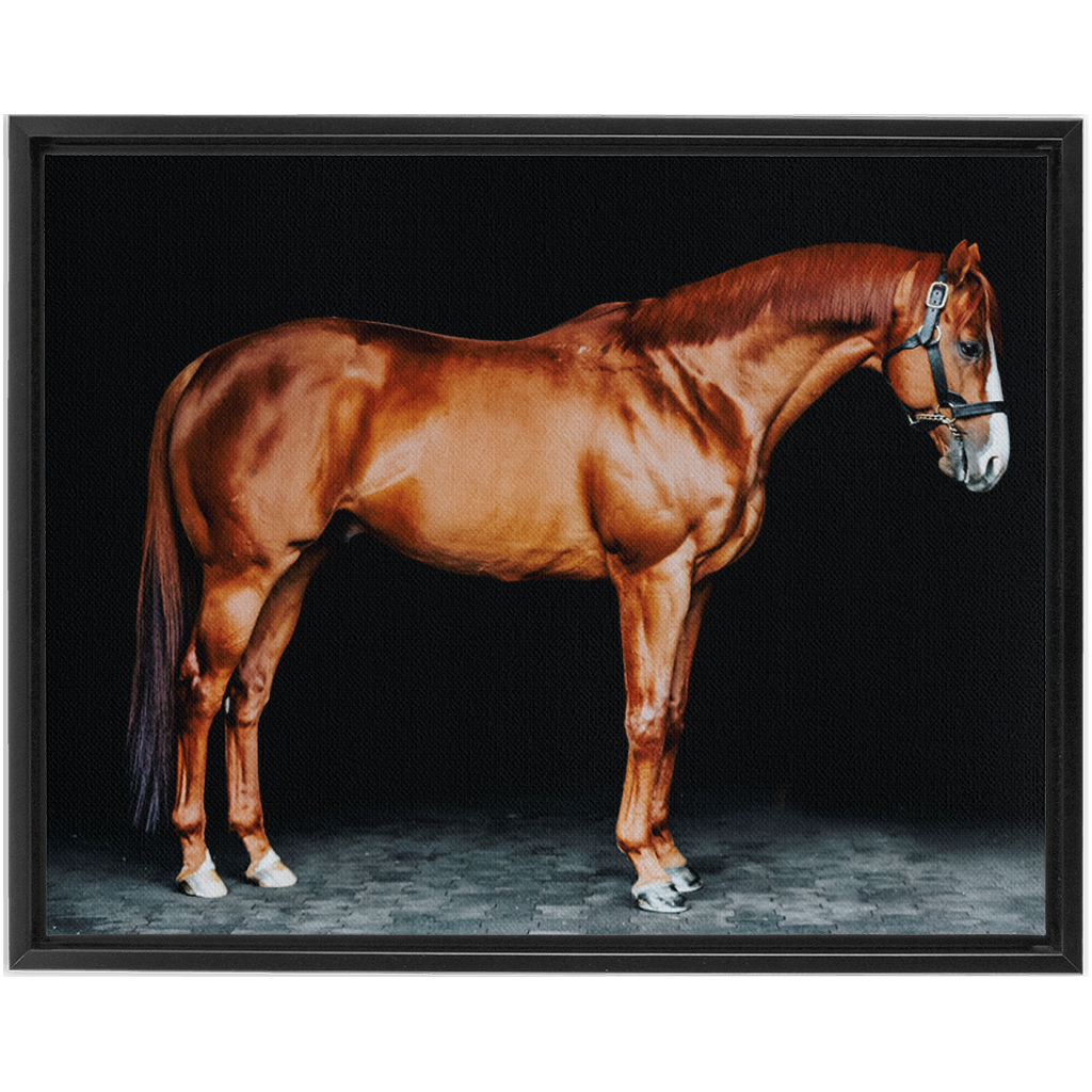 Justify Series 6, Framed Canvas