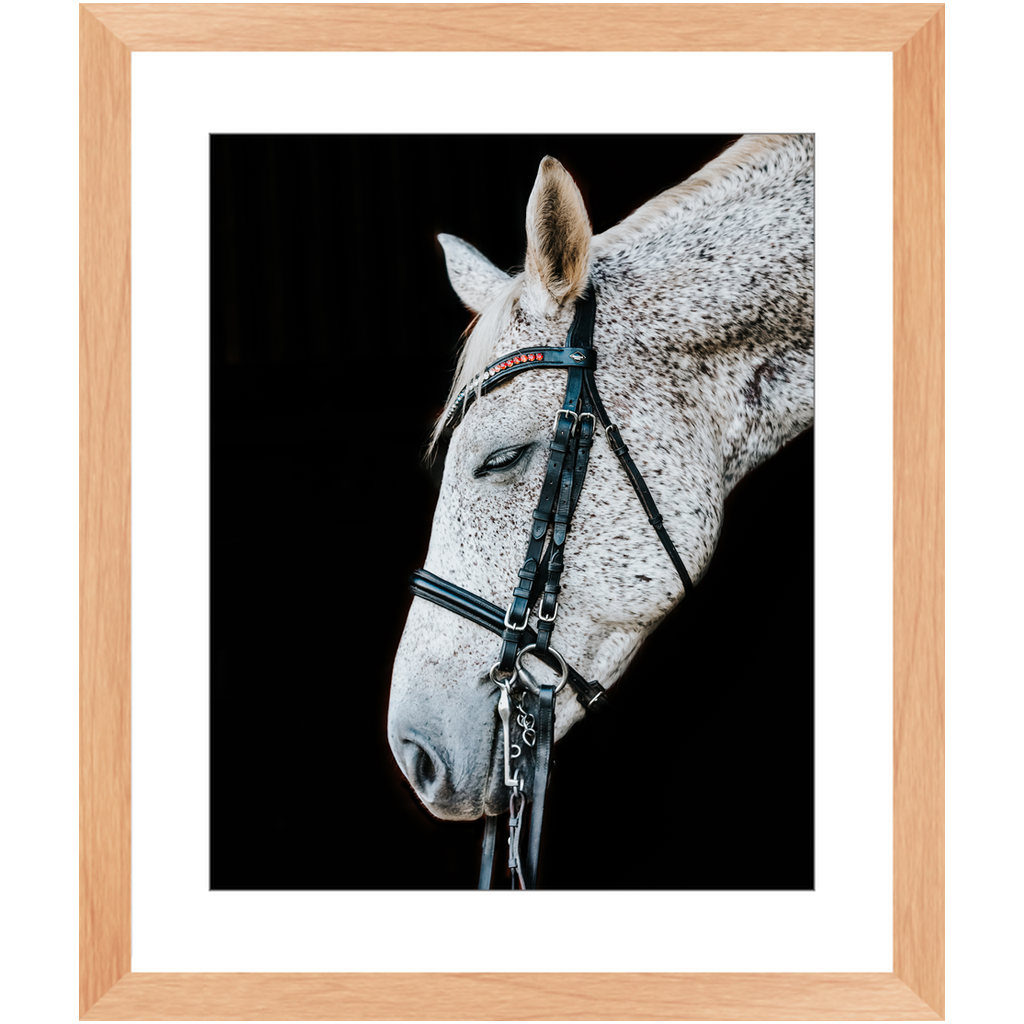 Apollo Series 1, Framed Print