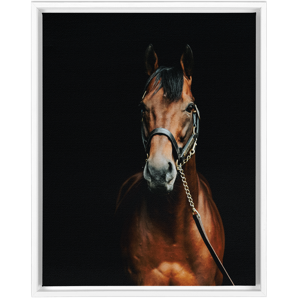 American Pharoah Series 4, Framed Canvas