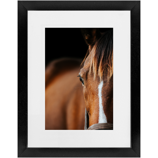 Majestic Series 1, Framed Print