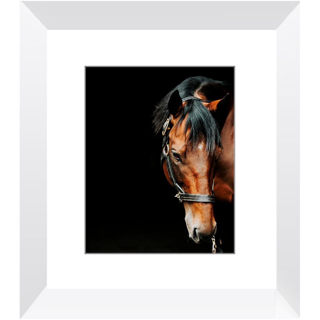 American Pharoah Series 6, Framed Print