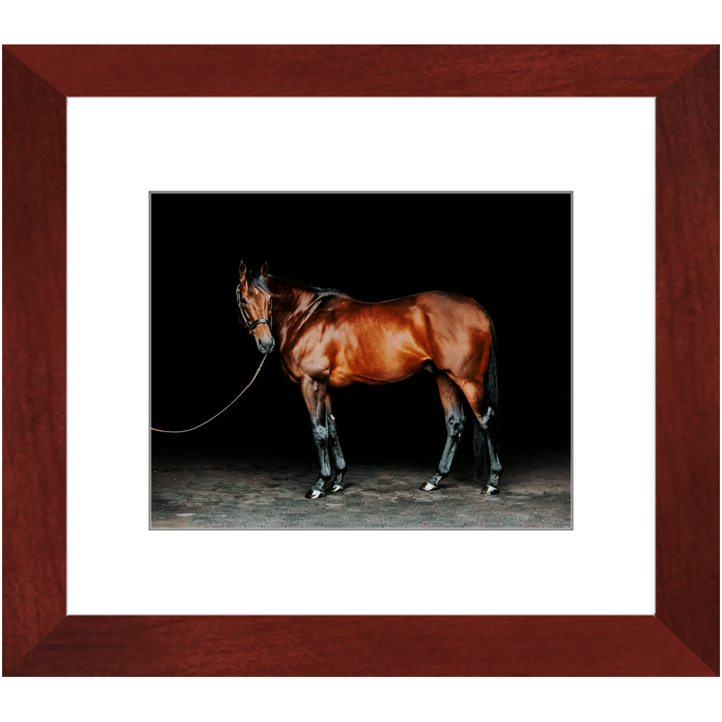 American Pharoah Series 1, Framed Print