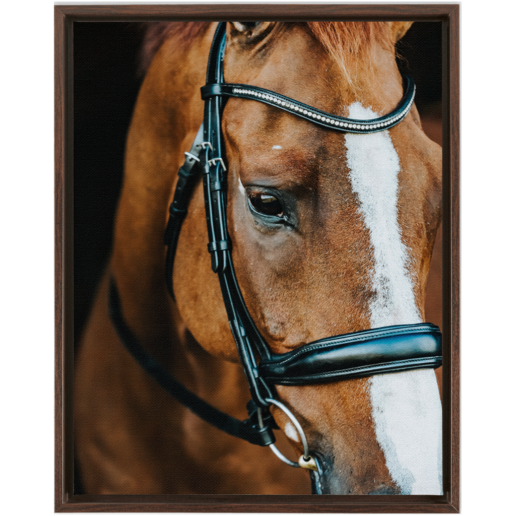 Hudson Series 3, Framed Canvas