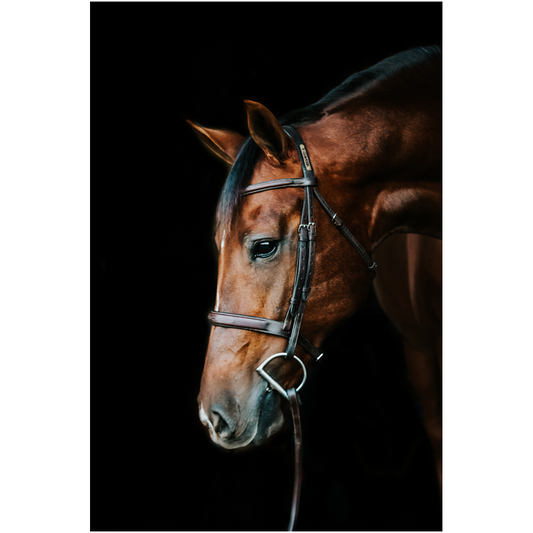 Monterey Series 4, Print