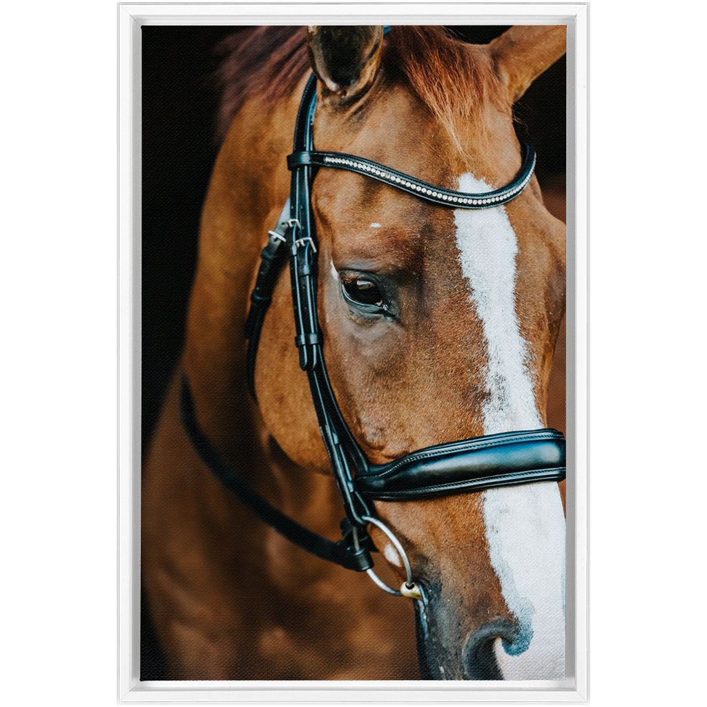 Hudson Series 3, Framed Canvas