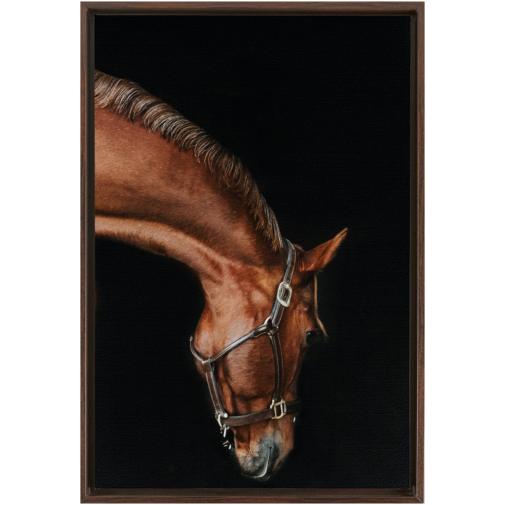 Django Series 6, Framed Canvas
