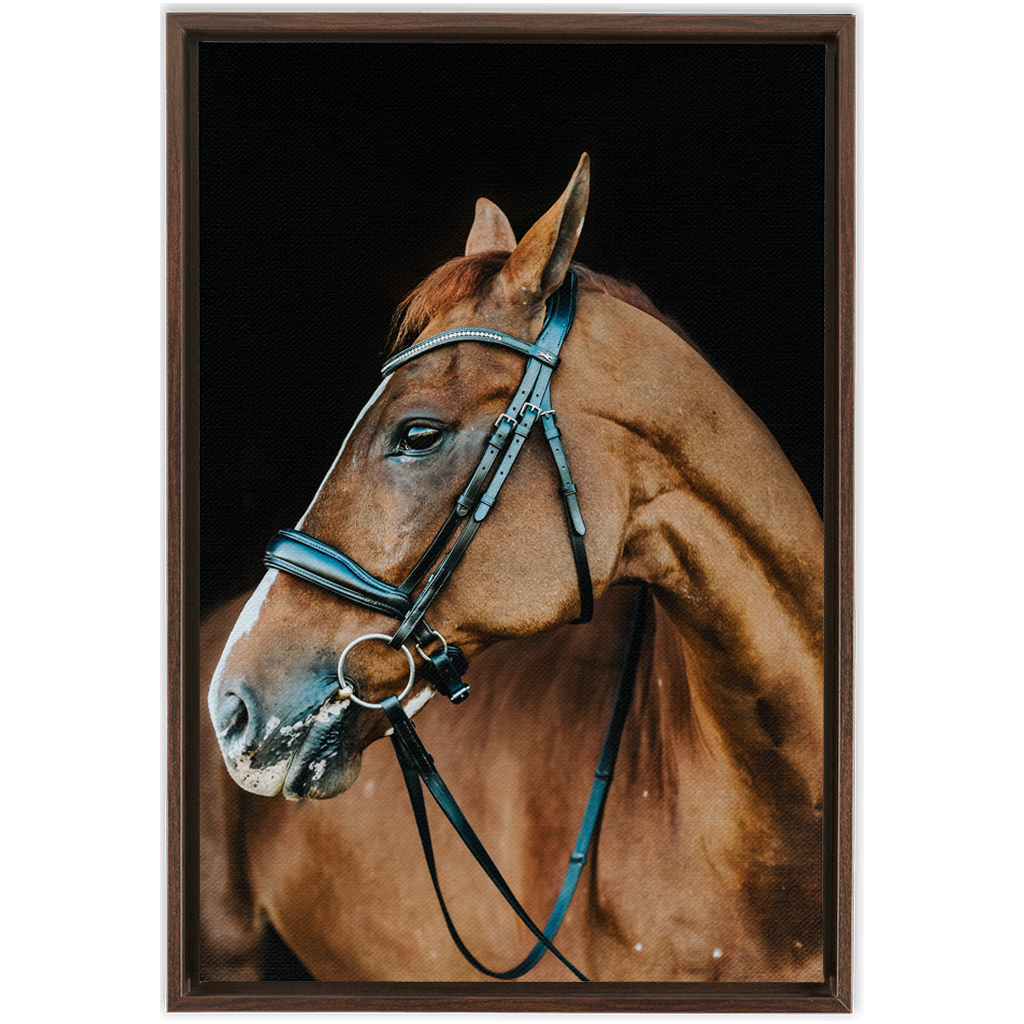Hudson Series 6, Framed Canvas