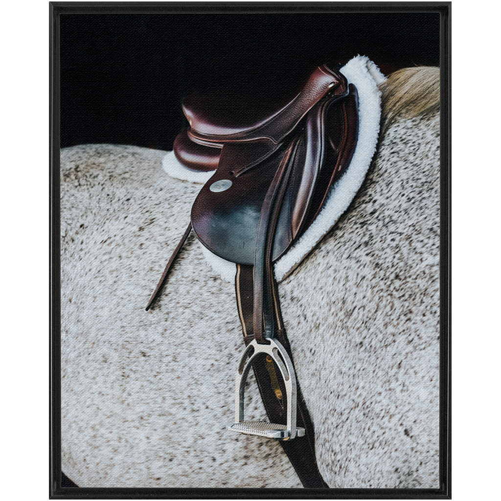 Apollo Series 3, Framed Canvas