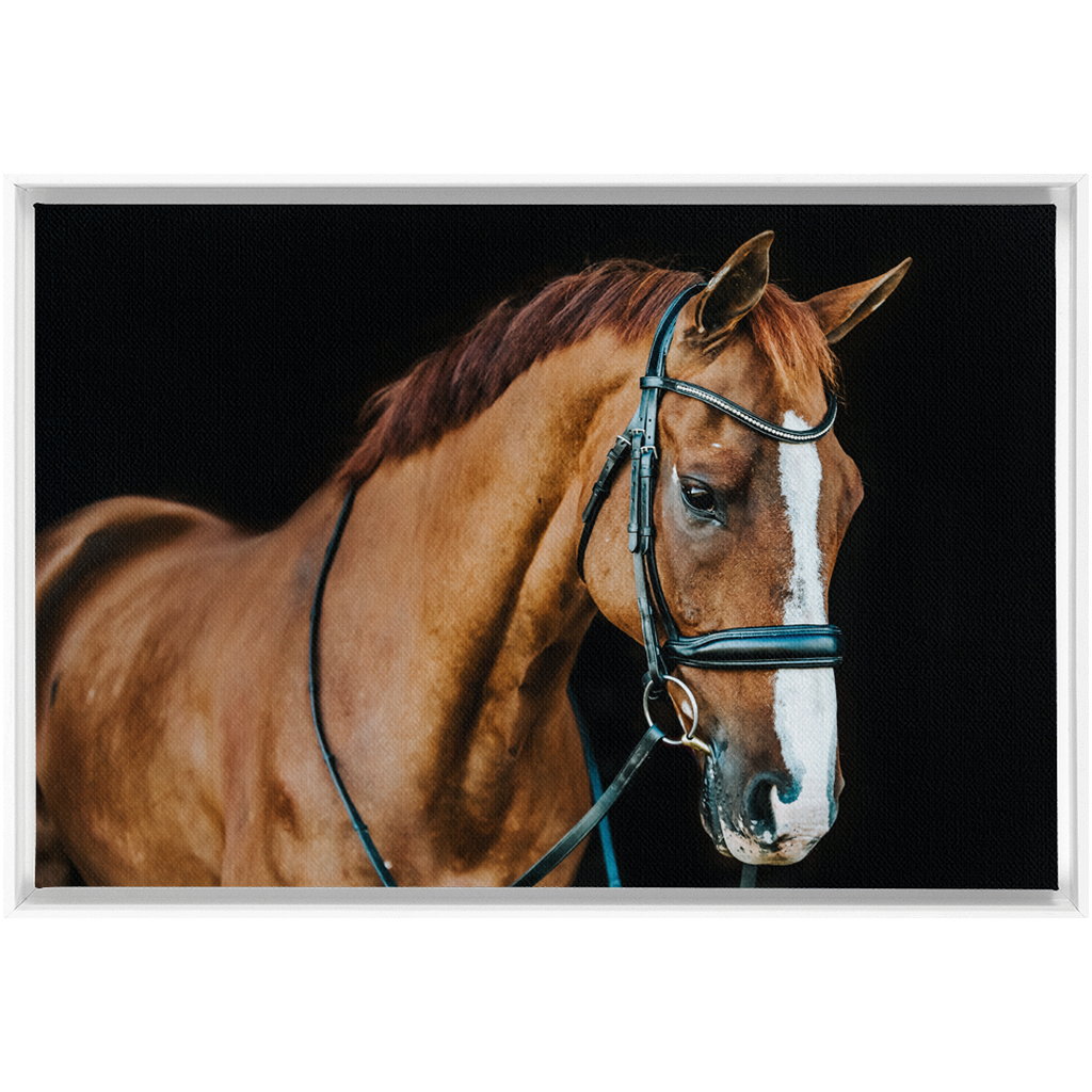 Hudson Series 1, Framed Canvas