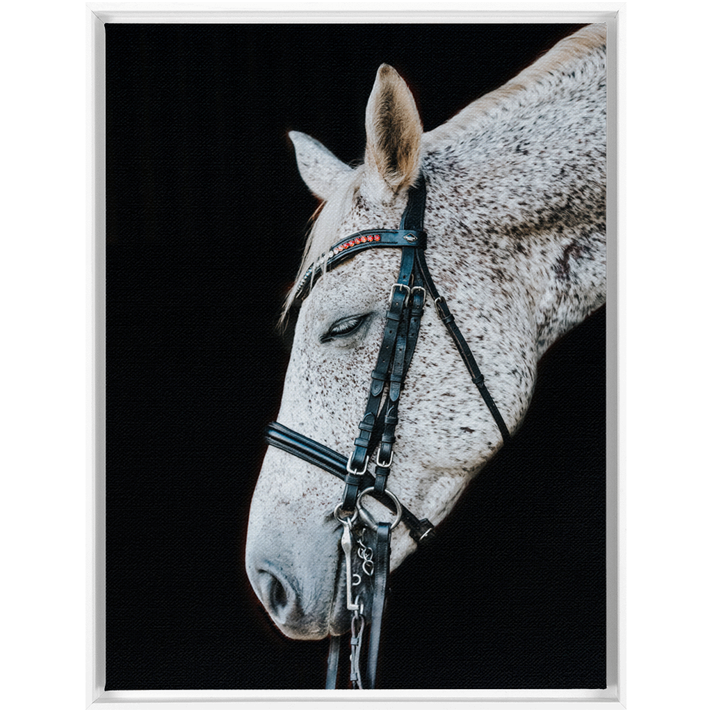 Apollo Series 1, Framed Canvas