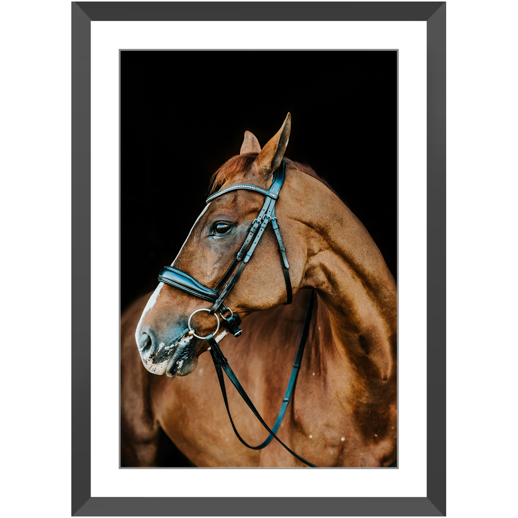 Hudson Series 6, Framed Print