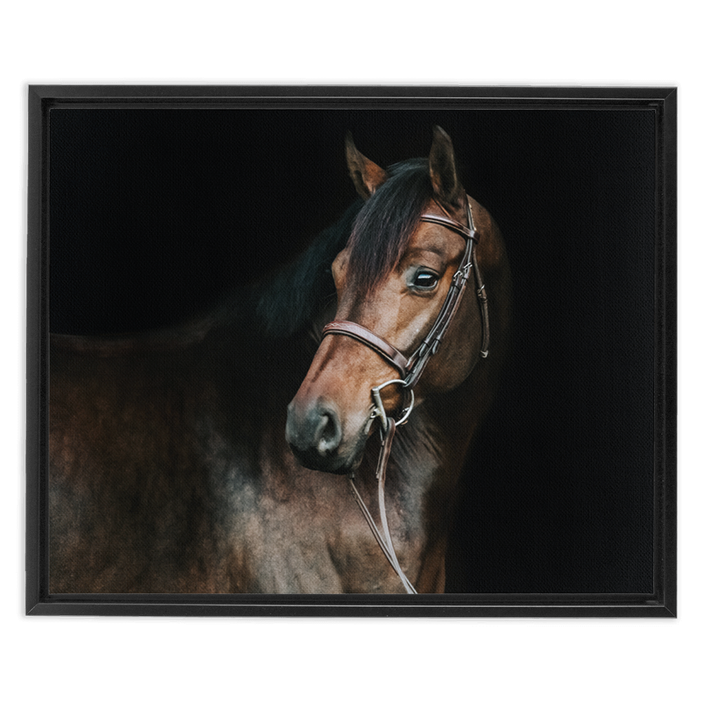Jovial Series 2, Framed Canvas