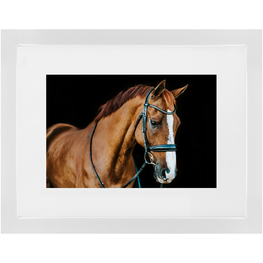 Hudson Series 1, Framed Print